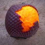 Buriti fruit