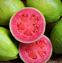 Guava oil